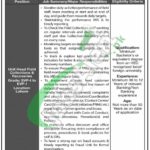 Bank of Punjab BOP Jobs 2026 Online Apply Latest Advertisement BOP Jobs Latest Advertisement