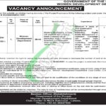 Apply in Women Development Department Punjab Jobs 2025 Lahore Advertisement Women Development Department Punjab Jobs
