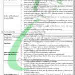 NBP Jobs
