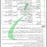 District and Session Court Chitral Lower Jobs 2025 Application Form Download Session Court Chitral Ad Nov 2025