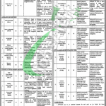 Tourism Archaeology and Museum Department Punjab Jobs 2025 Lahore Advertisement Tourism Archaeology and Museum Department Punjab Jobs