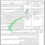 PPHI Sindh Jobs 2026 Apply Online Latest Advertisement PPHI Sindh Jobs