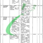 Lahore Museum Jobs 2026 Eligibility Criteria Latest Advertisement Lahore Museum Jobs