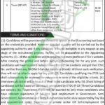 Communication & Works Department KPK Jobs 2026 Application Form Download Communication & Works Department KPK Jobs