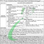 PPIF Jobs 2026 Punjab Population Innovation Fund Career Opportunities PPIF Jobs Ad