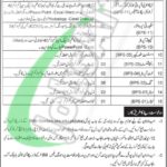 Application Form UHS Lahore Jobs 2026 University of Health Sciences UHS Lahore Jobs