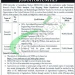 Muhammad Nawaz Sharif University of Agriculture Multan Jobs 2026 MNSUAM Muhammad Nawaz Sharif University of Agriculture Multan Jobs