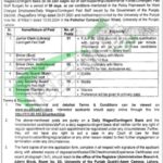 Non-Teaching Staff Punjab University Careers 2025 Male & Female Latest PU Jobs Advertisement