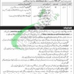 BISP Driver Jobs