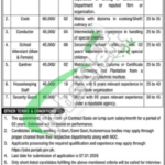 Special Education Department Punjab Jobs 2026 Online Apply Last Date Punjab Special Education Department Jobs