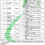 Forest Department Punjab Jobs 2026 Latest Vacancies in Lahore Forest Department Punjab Jobs