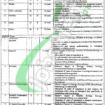 Punjab Wildlife & Parks Department Jobs 2026 Latest Advertisement Punjab Wildlife & Parks Department Jobs
