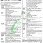 NBP Jobs 2025 – Apply Online for AVP, OG-II, OG-I & SVP Positions NBP Jobs Ad