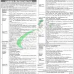 Apply in NBP Jobs 2025 Latest Advertisement NBP Jobs Ad