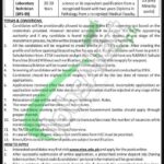 Livestock and Dairy Development Department KPK Jobs 2026 Latest Advertisement Livestock and Dairy Development Department KPK Jobs
