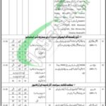 Special Education Teacher Jobs in SPSC 2026 Online Apply Last Date SPSC Special Education Teacher Jobs Ad