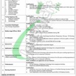 MTI DI Khan Jobs 2026 Latest Advertisement MTI DI Khan Jobs