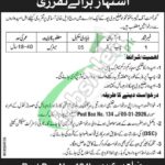 Public Sector Organization KPK Jobs 2026 PO Box 134 Haripur po box 134 haripur jobs