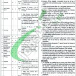 Sheikh Zayed Hospital Rahim Yar Khan Jobs 2026 Employment Opportunities Sheikh Zayed Hospital Rahim Yar Khan Jobs