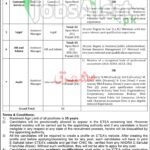 Hazara Electric Supply Company Jobs