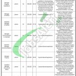 Public Sector Careers