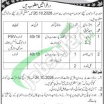 Service Tribunal AJK Jobs