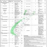 NIH Islamabad Jobs
