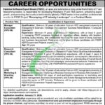 Latest Advertisement PSEB Jobs 2026 Pakistan Software Export Board PSEB Jobs