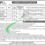 NICVD Jobs 2026 Online Apply | National Institute of Cardiovascular Diseases NICVD Jobs