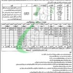 District Health Authority Lahore Jobs 2026 Latest Advertisement District Health Authority Lahore Jobs