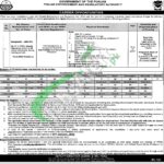 PERA Sergeant Jobs 2026 Online Apply (500 Vacancies) PERA Force Sergeant Jobs Ad