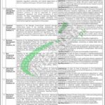 TransPeshawar Jobs 2026 Transport & Mass Transit Department KPK Online Form TransPeshawar Jobs