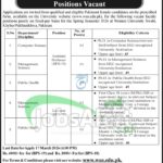 Women University Swabi Teaching Jobs 2026 Online Apply wus.edu.pk Women University Swabi Teaching Jobs