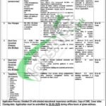 District Public School & College Okara Jobs