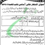 Session Court Poonch Jobs Ad