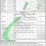 WAPDA Careers