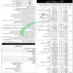 Punjab Counter Narcotics Force Jobs Ad