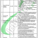 Punjab Mineral Company Jobs