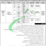 NADRA Sargodha Jobs