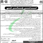 School Education & Literacy Department Sindh Jobs 2026 Application Form Download School Education & Literacy Department Sindh Jobs