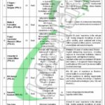 Prime Minister Office Board of Investment Jobs 2026 BOI Advertisement Board of Investment Jobs