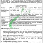 Board of Revenue Punjab Jobs