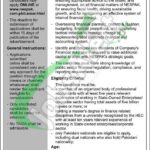 NESPAK Chief Financial Officer Jobs Ad