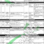 PPSC Jobs Advertisement 06/2026