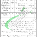 Women Development Department Sindh Jobs 2026 Career Offers Women Development Department Sindh Jobs