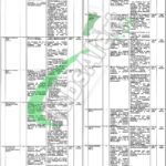 Communication and Works Department Punjab Jobs