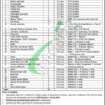CMH Chunian Jobs