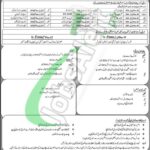 Mujahid Force Jobs 2026 Soldier Latest Advertisement / Recruitment Procedure Mujahid Force Jobs