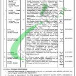 Punjab Mineral Development Corporation Jobs 2026 Latest Advertisement Punjab Mineral Development Corporation Jobs