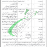 PO Box 766 GPO Rawalpindi Jobs Ad
